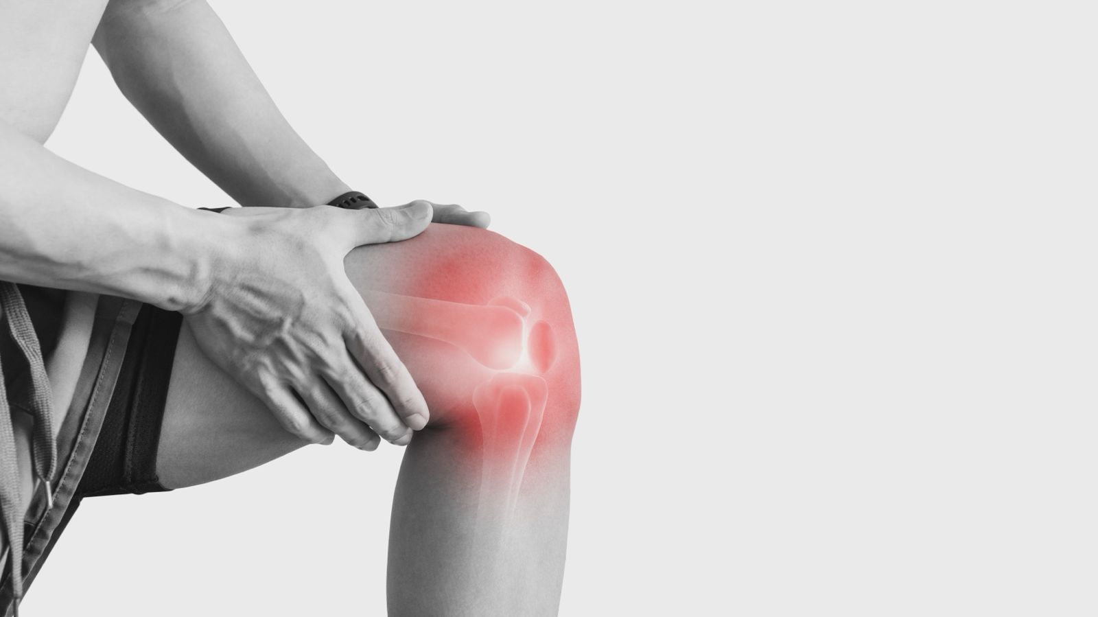Knee inflammation study graphic